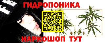 ALPHA PVP Будённовск