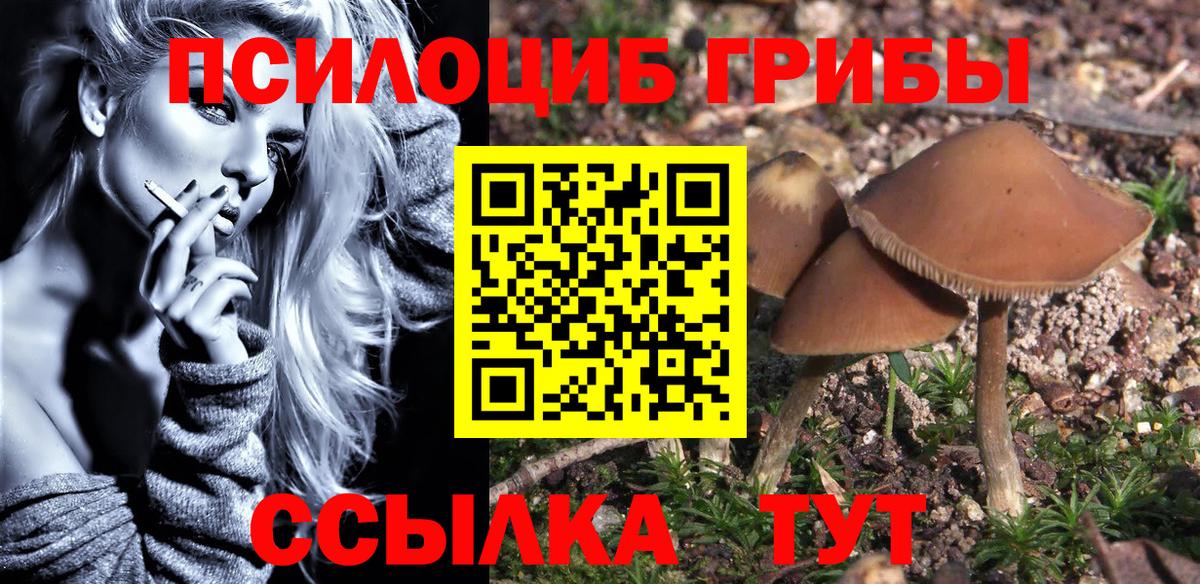 Псилоцибиновые грибы мицелий Нягань