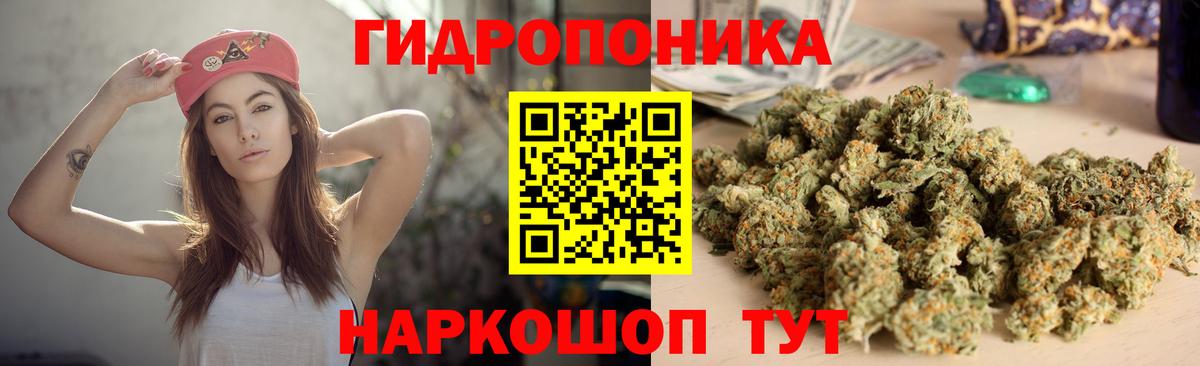 Канабис планчик Нягань